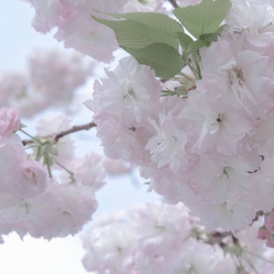 兽设配色搭配思路FurryQQ群